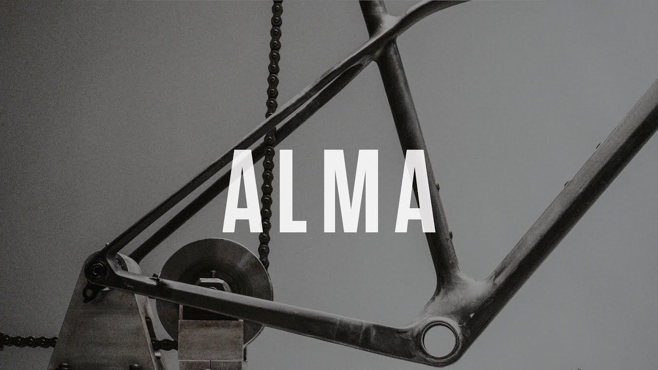 Orbea Alma M25 blau Mountainbike M22318L6