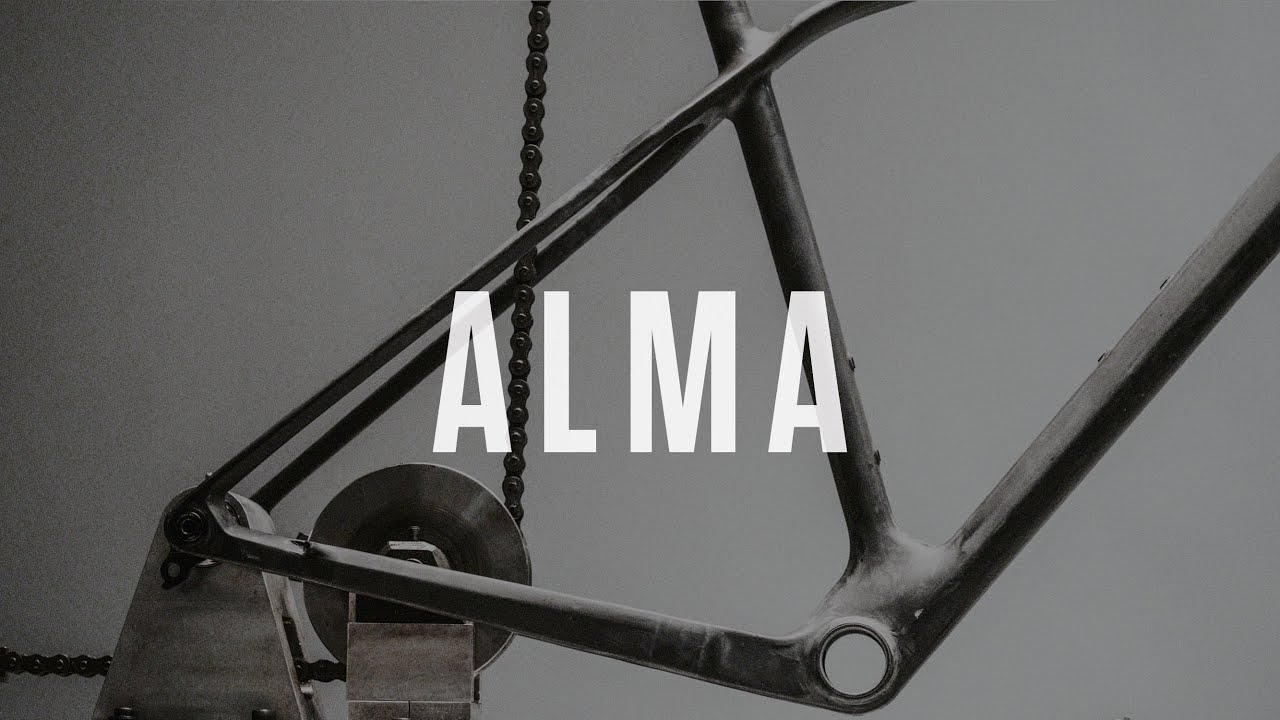 Orbea Mountainbike Alma M30 grün M22216L5