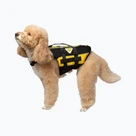 Sport mit Hund