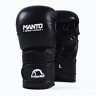 Handschuhe für MMA